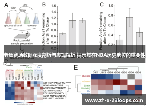 老詹赛场数据深度剖析与表现解析 揭示其在NBA历史地位的重要性 老詹赛场数据深度剖析与表现解析 揭示其在NBA历史地位的重要性