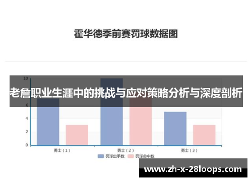 老詹职业生涯中的挑战与应对策略分析与深度剖析
