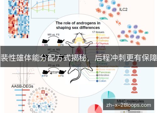裴性雄体能分配方式揭秘，后程冲刺更有保障